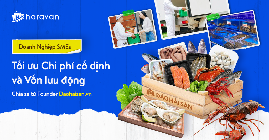 Tối ưu Chi phí cố định và Vốn lưu động cho Doanh nghiệp SMEs - chia sẻ từ Founder Daohaisan.vn