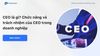 CEO là gì? Chức năng và trách nhiệm của CEO trong doanh nghiệp