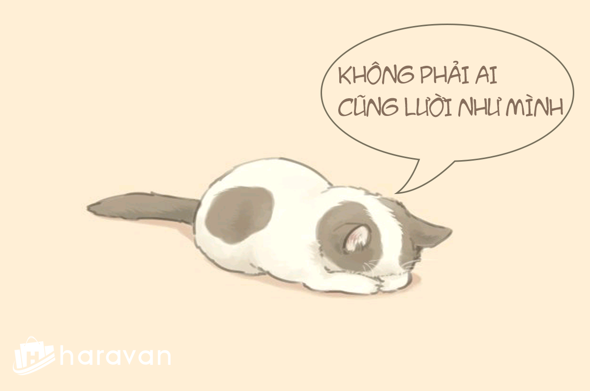Con mèo lười - Hình tượng của những kẻ tư duy theo lối mòn