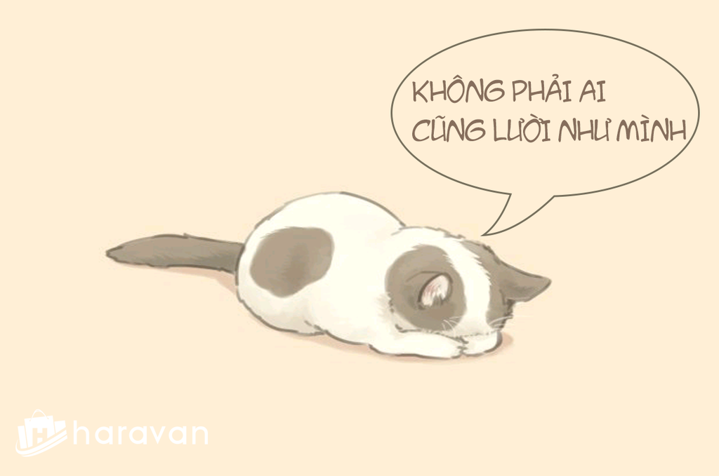 Con mèo lười - Hình tượng của những kẻ tư duy theo lối mòn