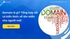Domain là gì? Tổng hợp tất cả kiến thức về tên miền cho người mới