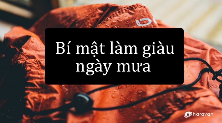 Mùa mưa nên kinh doanh gì?