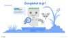 Googlebot là gì? Những điều bạn phải làm để website được Googlebot truy cập và index