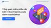 Tổng quan những điều cần biết về livestream Lazada dành cho chủ shop