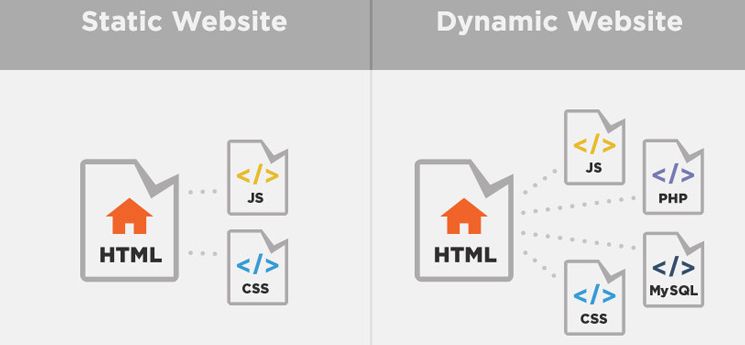 Cân đo đong đếm giữa web tĩnh và web động