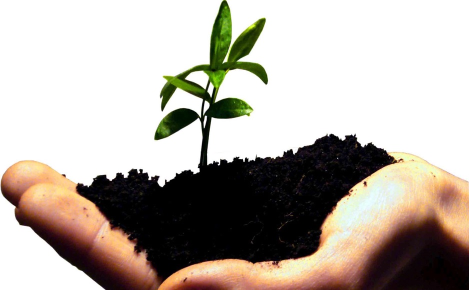 Startup và kinh doanh nhỏ khác nhau ở điểm nào?