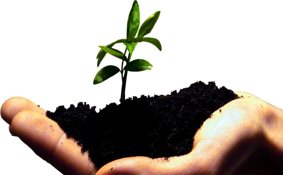 Startup và kinh doanh nhỏ khác nhau ở điểm nào?