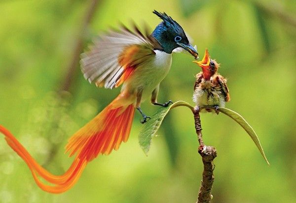 Thay đổi kích thước hình ảnh trước khi upload
