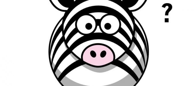 Thuật toán Zebra và những điều cần lưu ý