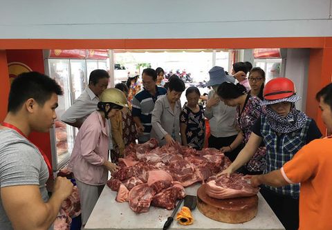Tờ mờ sáng, người Sài Gòn đi mua thịt cứu người chăn nuôi heo