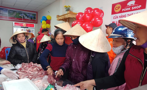 C.P. Việt Nam duy trì mức cung ứng từ 13.000 - 16.000 con heo hơi mỗi ngày