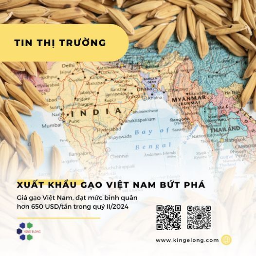 Xuất khẩu gạo Việt Nam bứt phá