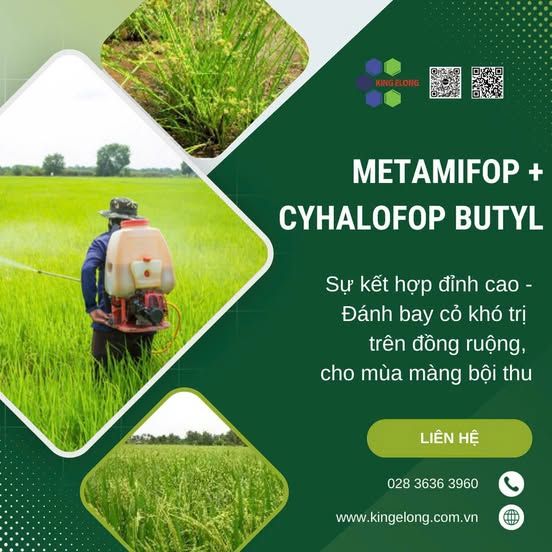 Metamifop + Cyhalofop Butyl - Đánh Bay Cỏ Khó Trị Trên Đồng Ruộng, Cho Mùa Màng Bội Thu