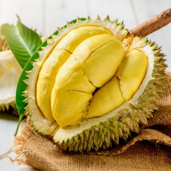 The Durian War in Southeast Asia