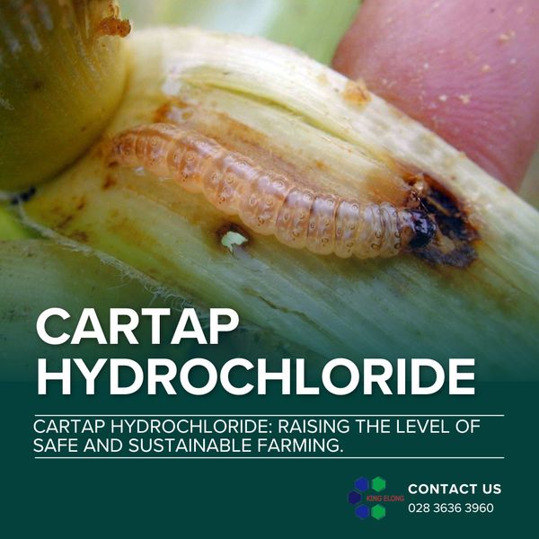 Cartap Hydrochloride: Raising the level of safe and sustainable farming