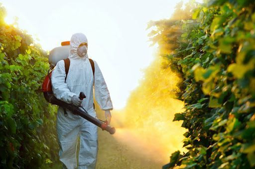 What is the process for importing pesticides in Vietnam?