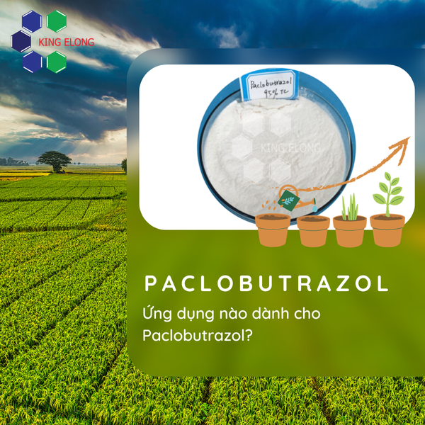 Ứng dụng nào dành cho Paclobutrazol?