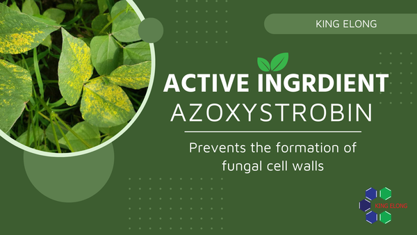 Active ingredient Azoxystrobin