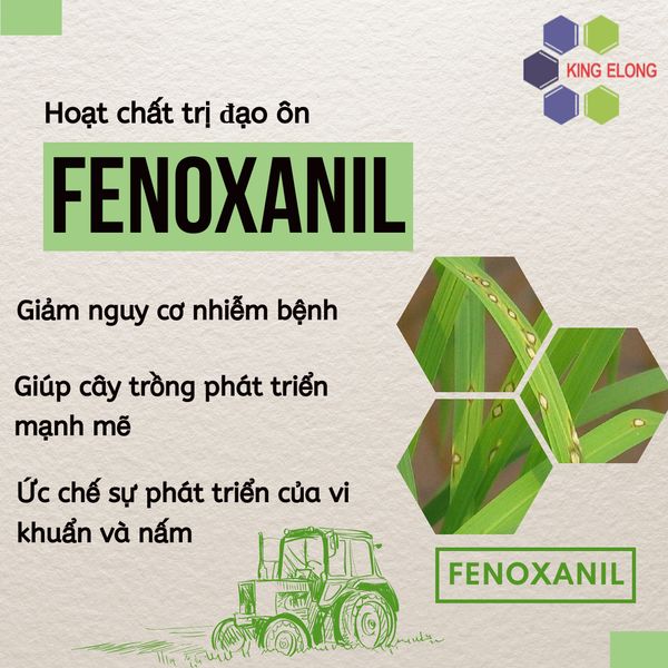 Fenoxanil - Hoạt chất trị đạo ôn