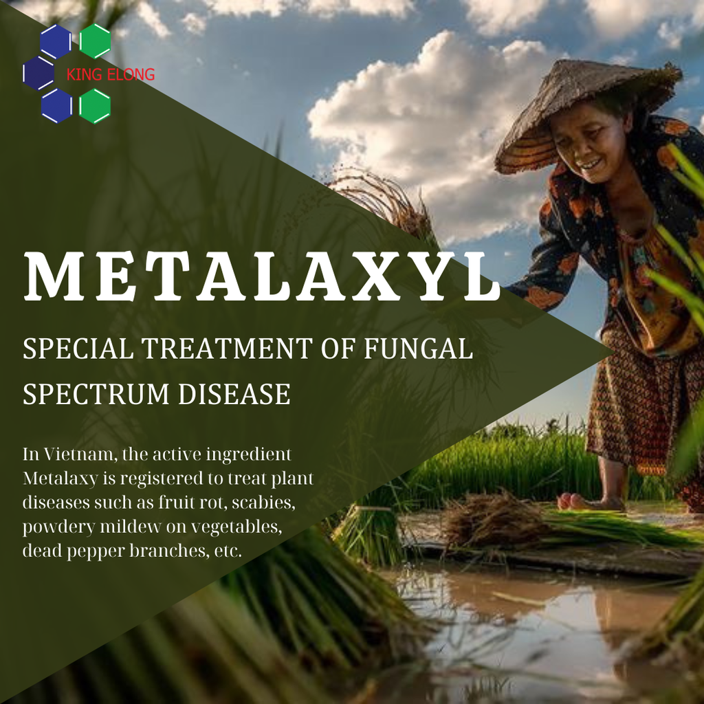 Metalaxyl - Special treatment of fungal spectrum disease