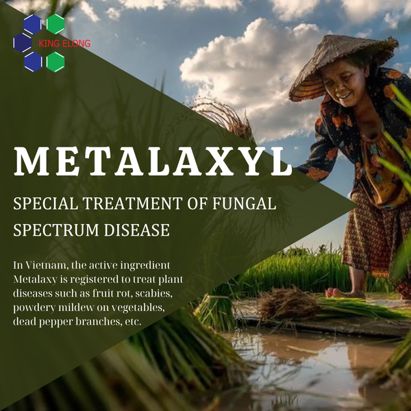 Metalaxyl - Special treatment of fungal spectrum disease