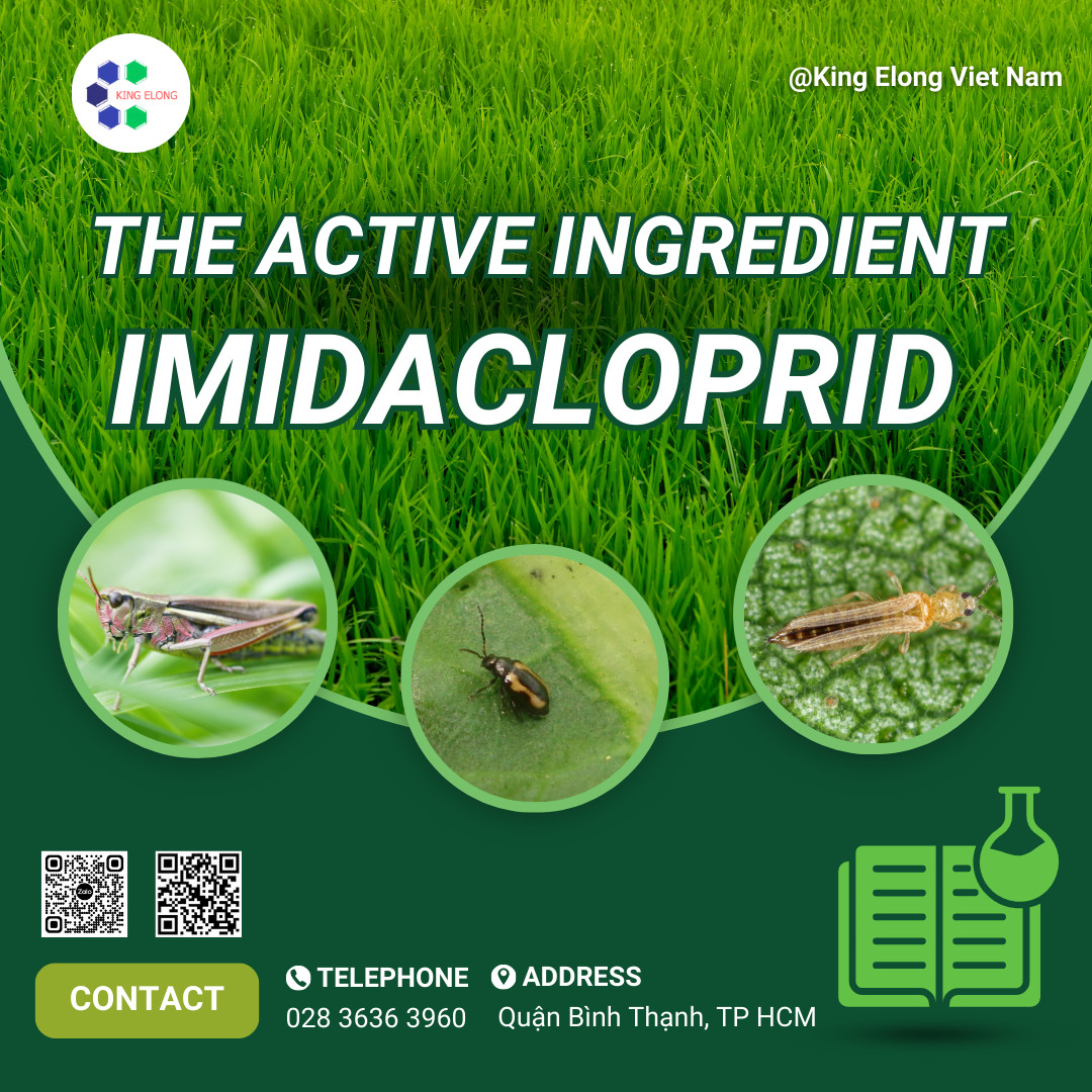 Imidacloprid: The Insecticide Superhero – Kingelong Việt Nam