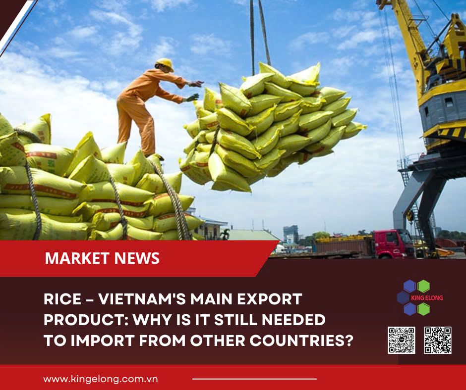 Rice – Vietnam's Main Export Product: Why Is It Still Needed To Import From Other Countries?