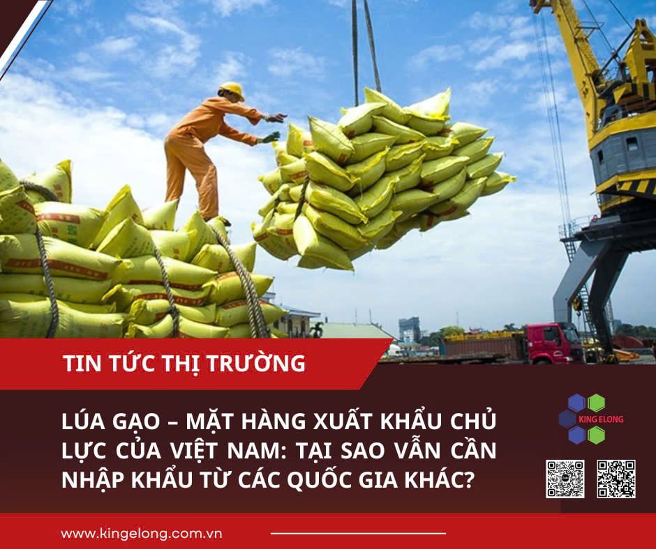 Lúa Gạo – Mặt Hàng Xuất Khẩu Chủ Lực Của Việt Nam: Tại Sao Vẫn Cần Nhập Khẩu Từ Các Quốc Gia Khác?