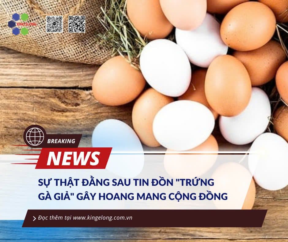 Sự Thật Đằng Sau Tin Đồn