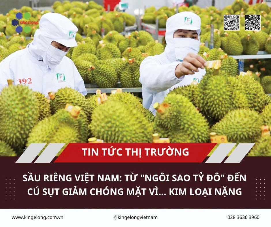 Sầu Riêng Việt Nam: Từ