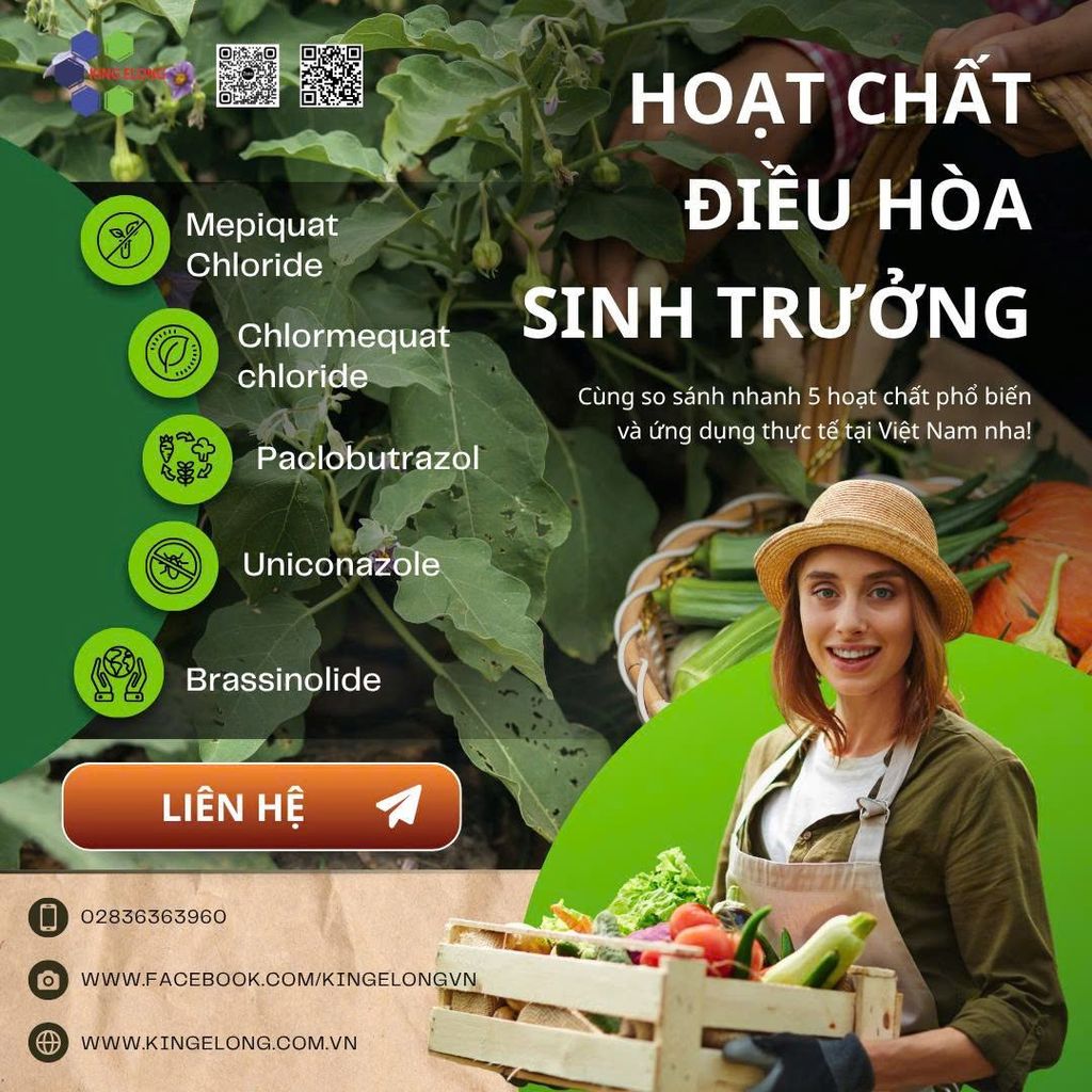 So Sánh Chi Tiết 5 Hoạt Chất Điều Hòa Sinh Trưởng Phổ Biến Tại Việt Nam