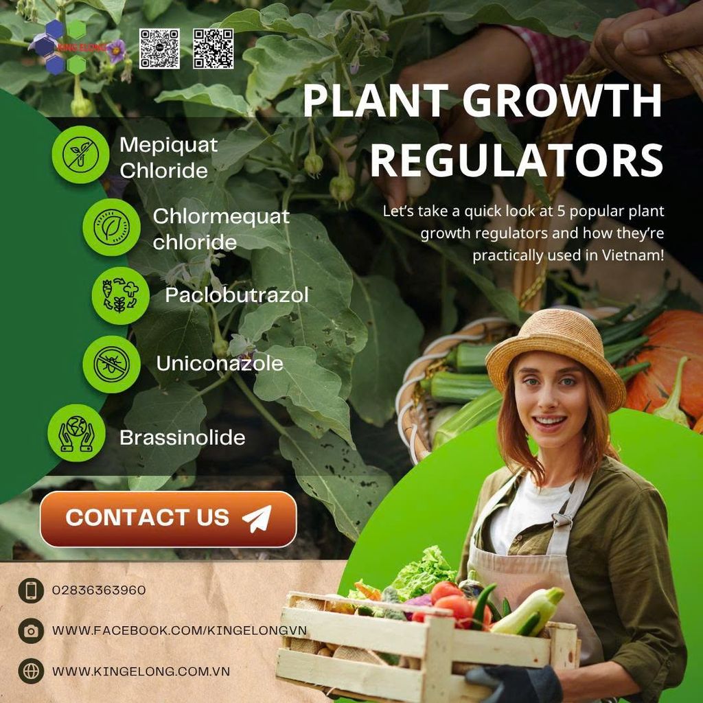 Detailed Comparison Of 5 Common Plant Growth Regulators In Vietnam