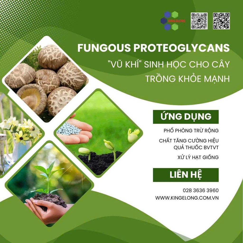 Fungous Proteoglycans (FPG): “Vũ Khí” Sinh Học Giúp Cây Trồng Khỏe Mạnh!