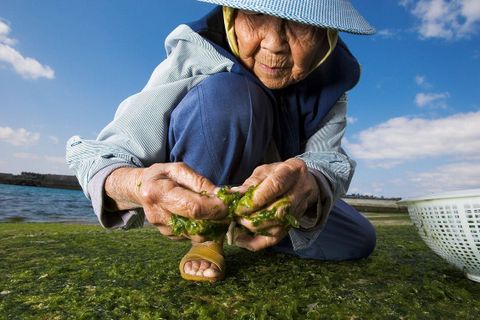 Bí quyết giúp người dân đảo Okinawa sống thọ hơn 100 tuổi là gì ?