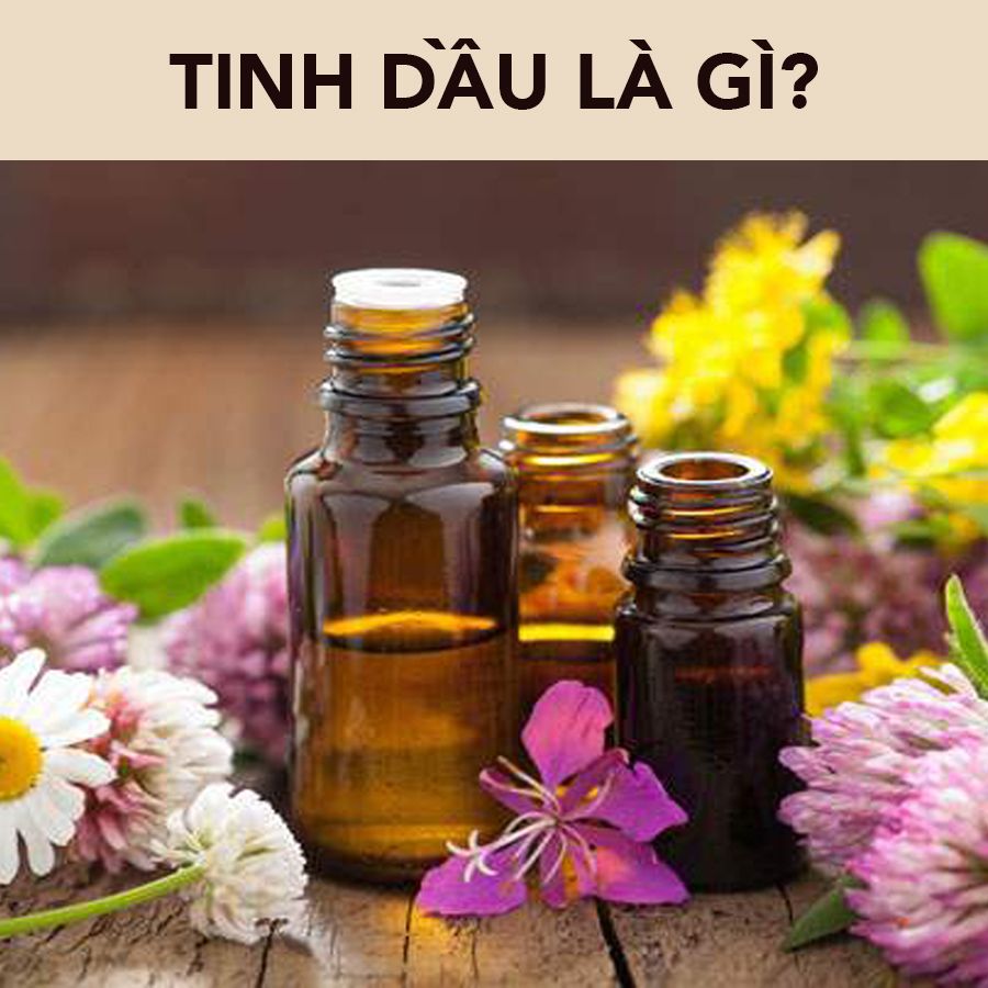 Tinh dầu là gì? Tinh dầu có tác dụng gì đối với sức khỏe và làm đẹp?