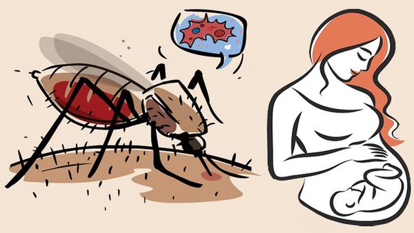 Tại sao bà bầu là miếng mồi béo bở của muỗi?