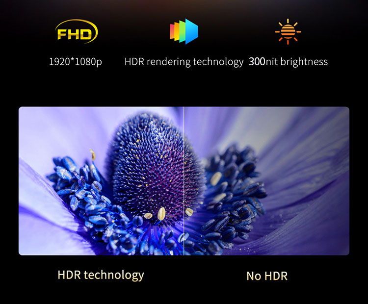 Màn hình di động Aturos FS13 tích hợp giá đỡ, loa, kết nối SamSung DEX, FullHD 1080 ,13.3 inch,100% RGB
