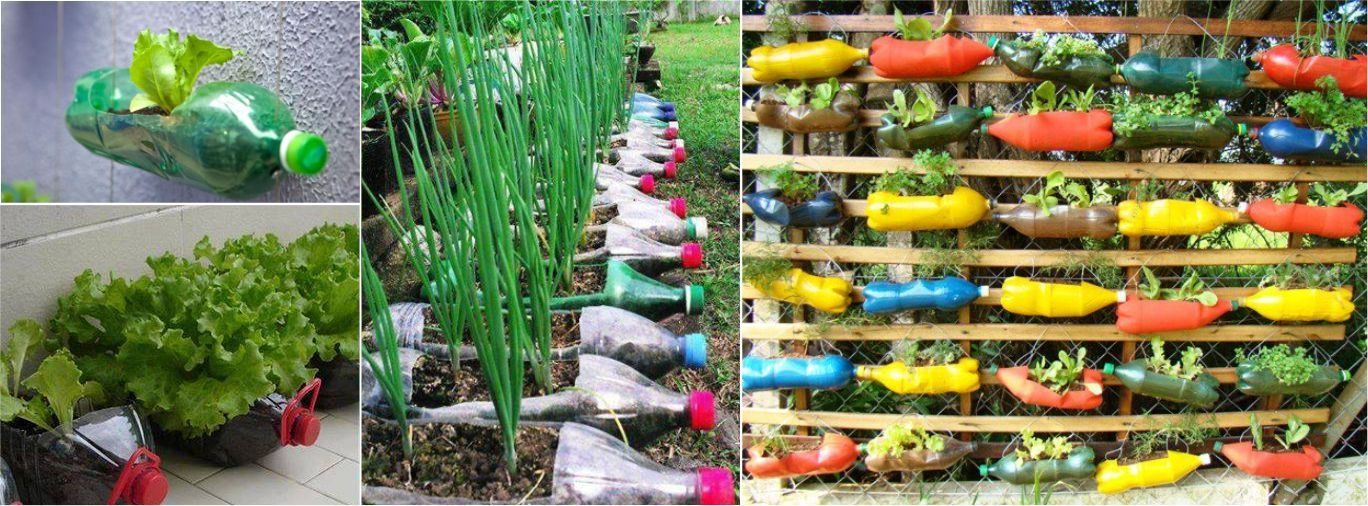 Cách trồng rau sạch bằng vỏ chai nhựa