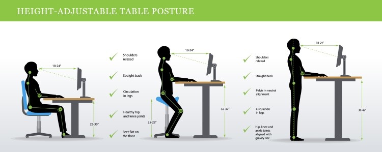 Tìm hiểu công dụng của ergonomic trong đời sống