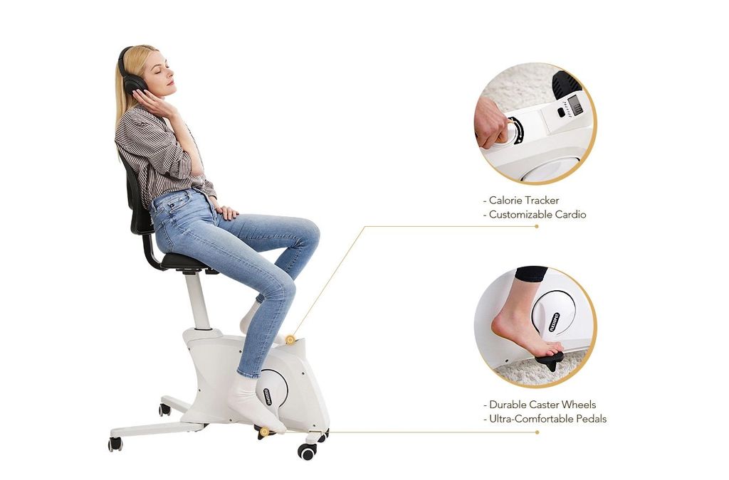 Ghế Fitness Ergonomic Chair - Flexispot FC211