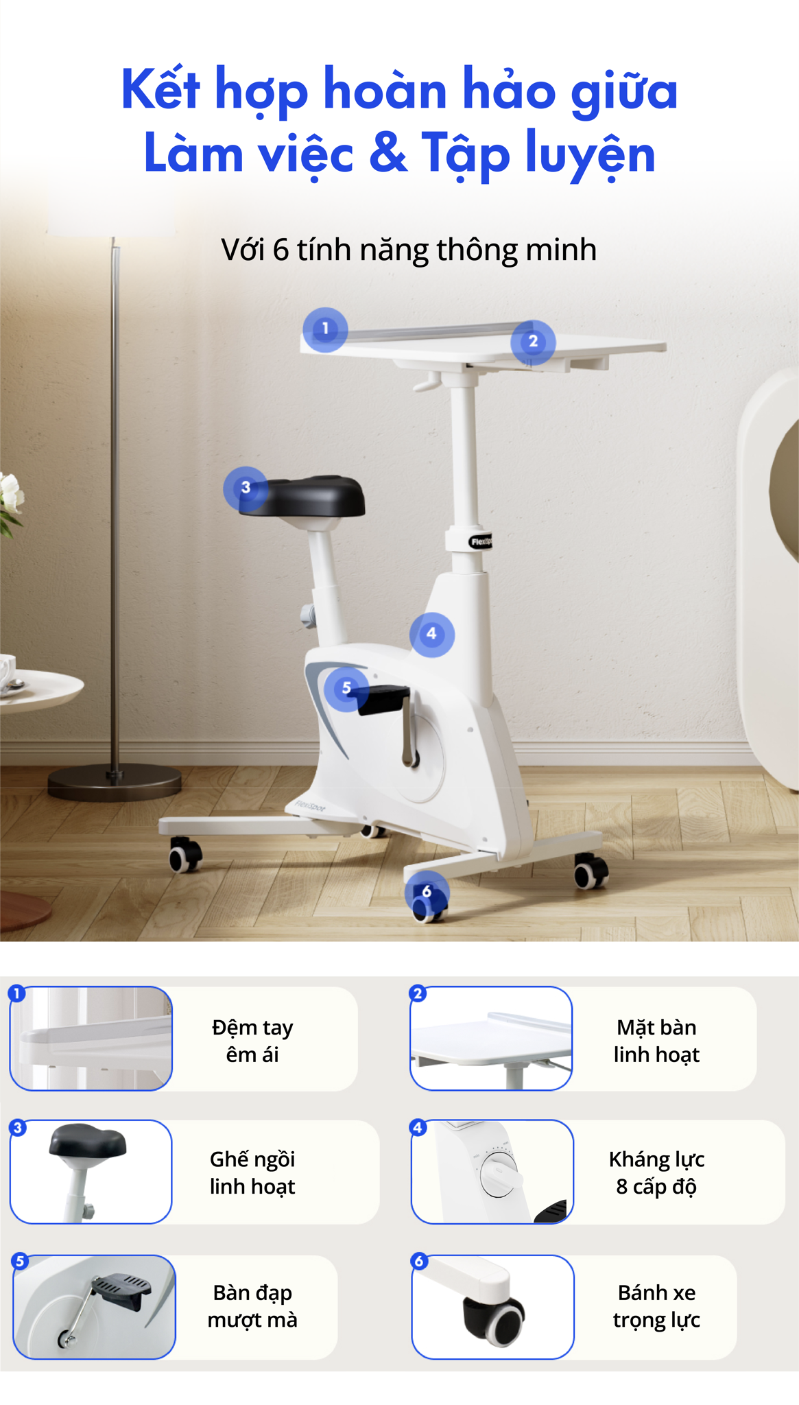 Hình ảnh sản phẩm