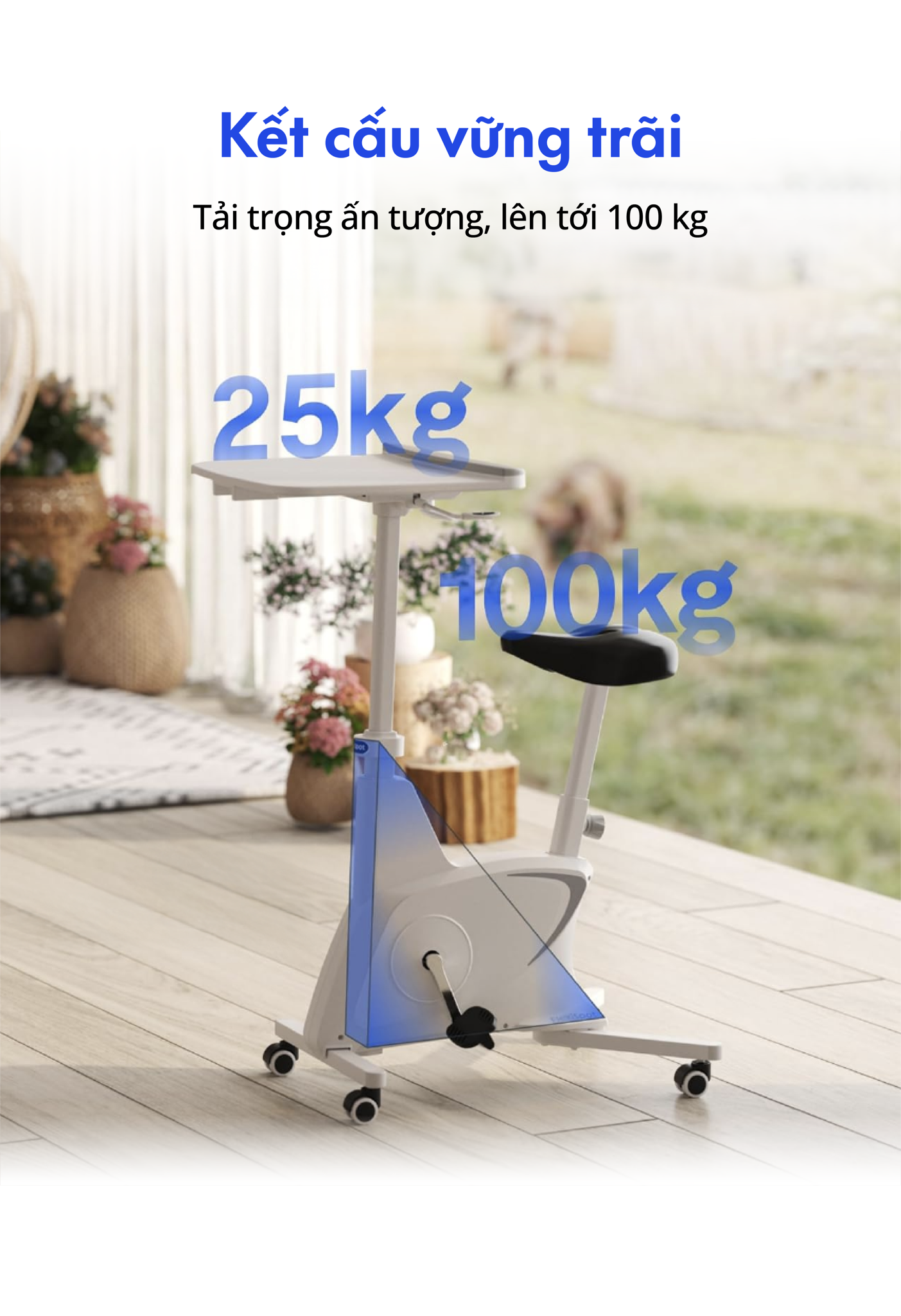 Hình ảnh sản phẩm