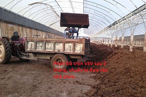 Sử dụng chế phẩm vi sinh vật EMUNIV để xử lý chất thải chăn nuôi