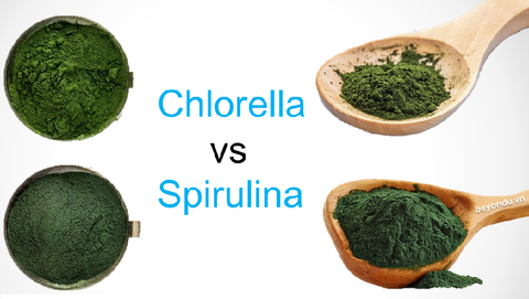 Spirulina và Chlorella giống và khác nhau như thế nào?