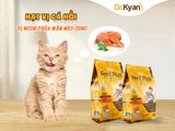 Đánh giá / Review: Thức ăn Dr.Kyan
