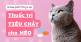 THUỐC TRỊ TIÊU CHẢY CHO MÈO: cách dùng, liều lượng, tác dụng phụ...