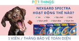 Viên ăn Nexgard Spectra hoạt động như thế nào để trị ve rận, giun sán & ghẻ trên chó?
