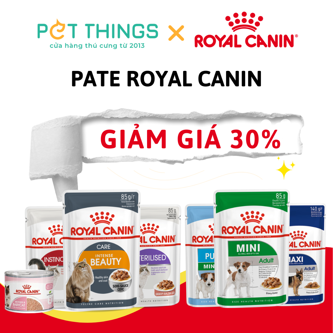 Pate Royal Canin Giảm Giá 30% tại Pet Things shop