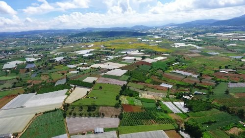 Những nông sản thế mạnh của huyện Đơn Dương