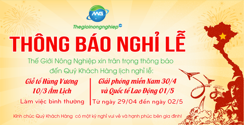 Lịch nghỉ lễ Giỗ tổ Hùng Vương, Ngày Giải phóng Miền Nam và Quốc tế Lao động 2021